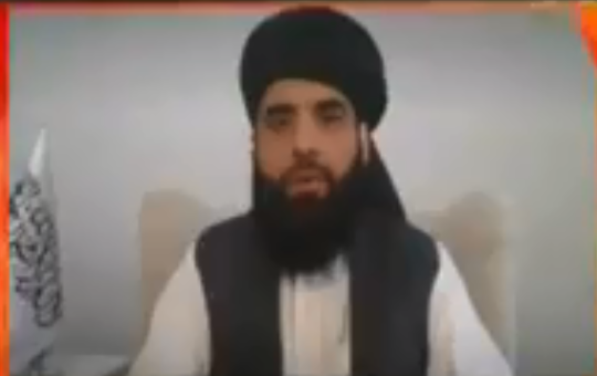 Sohail Shaheen Taliban