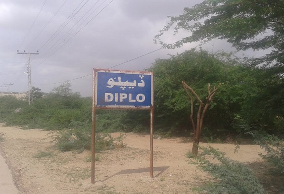 Rich result son google SERP when searching for 'Diplo Tharparkar'