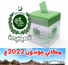 Local body elections