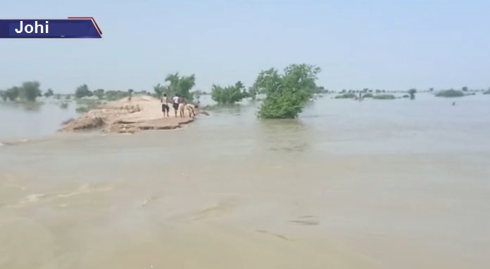 Johi flood
