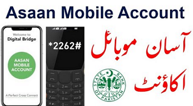 Rich results on google SERP when searching for ‘Asaan Mobile Account’