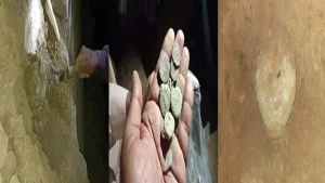 Coins f Mohan jo daro